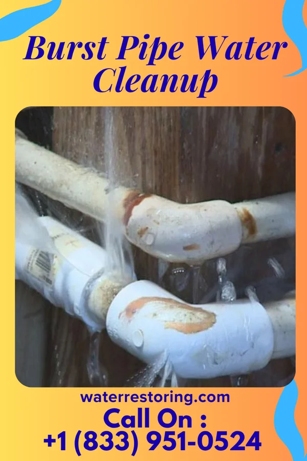 Burst Pipe Water Cleanup in Capitol Heights, MD