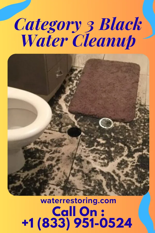 Category 3 Black Water Cleanup in Capitol Heights, MD