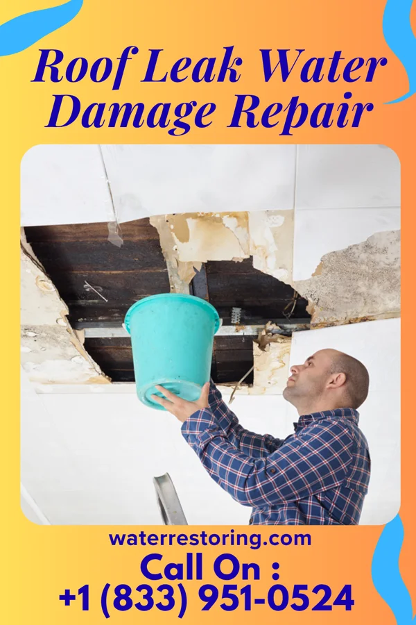 Roof Leak Water Damage Repair in Capitol Heights, MD