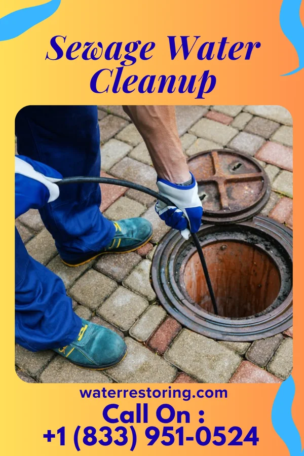 Sewage Water Cleanup in Capitol Heights, MD