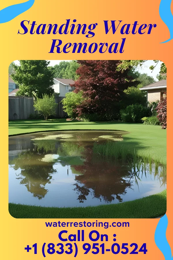 Standing Water Removal in Capitol Heights, MD